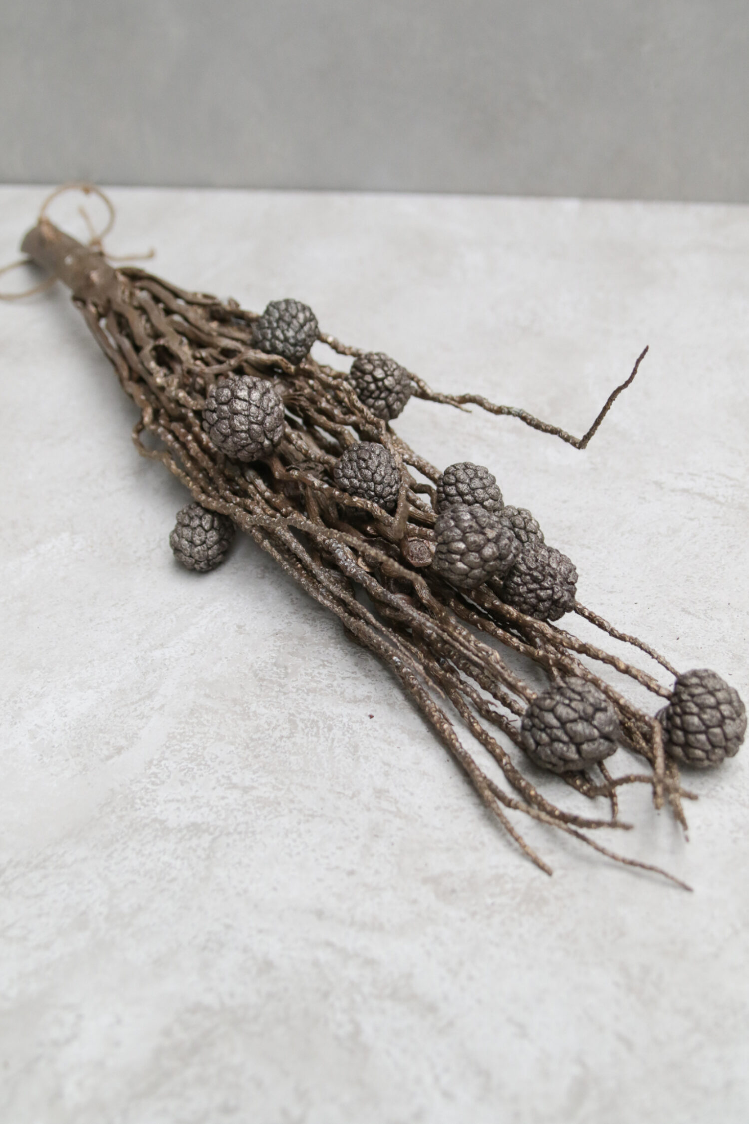 Coco finger branch with ata fruit