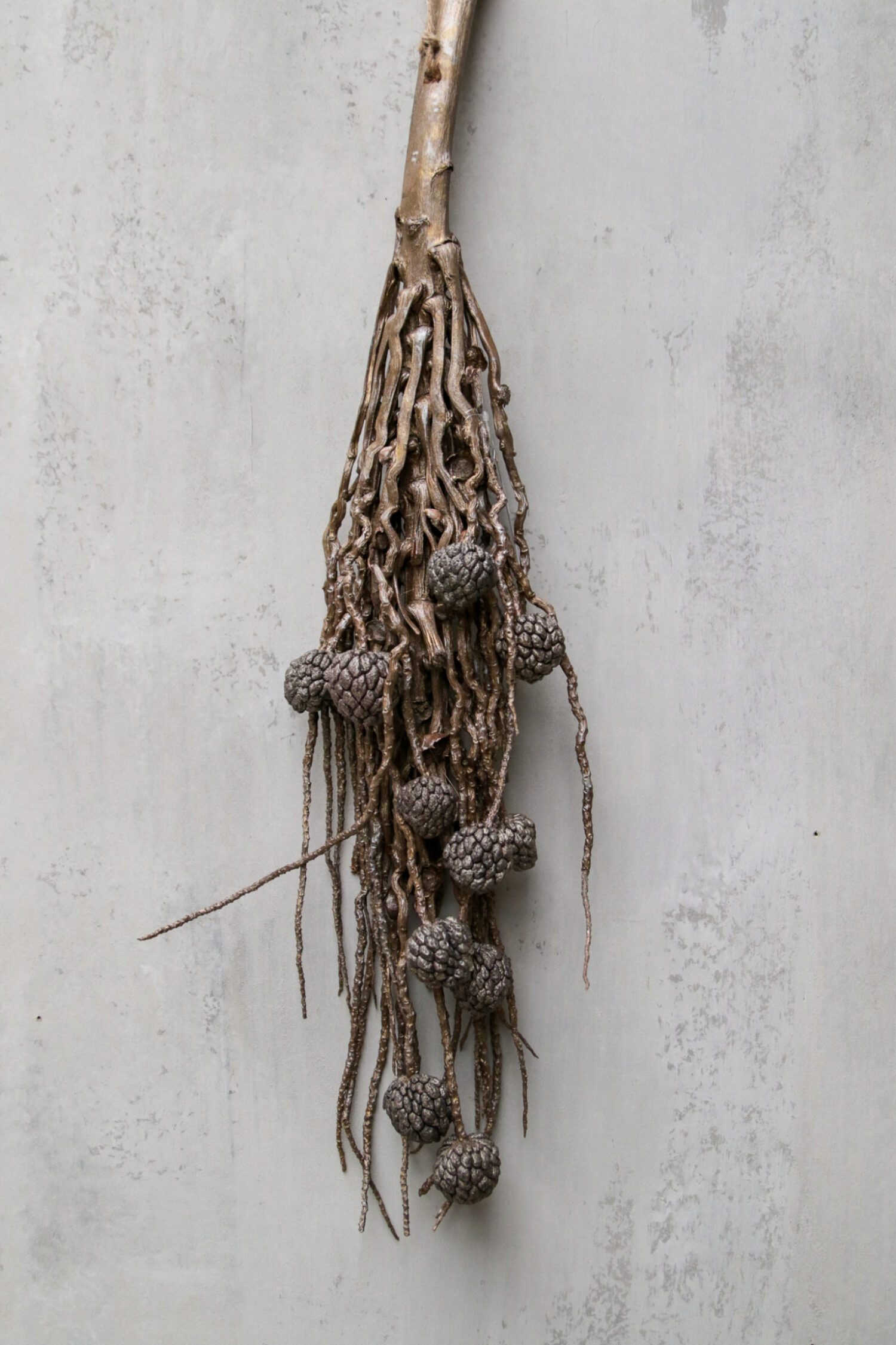 Coco finger branch with ata fruit