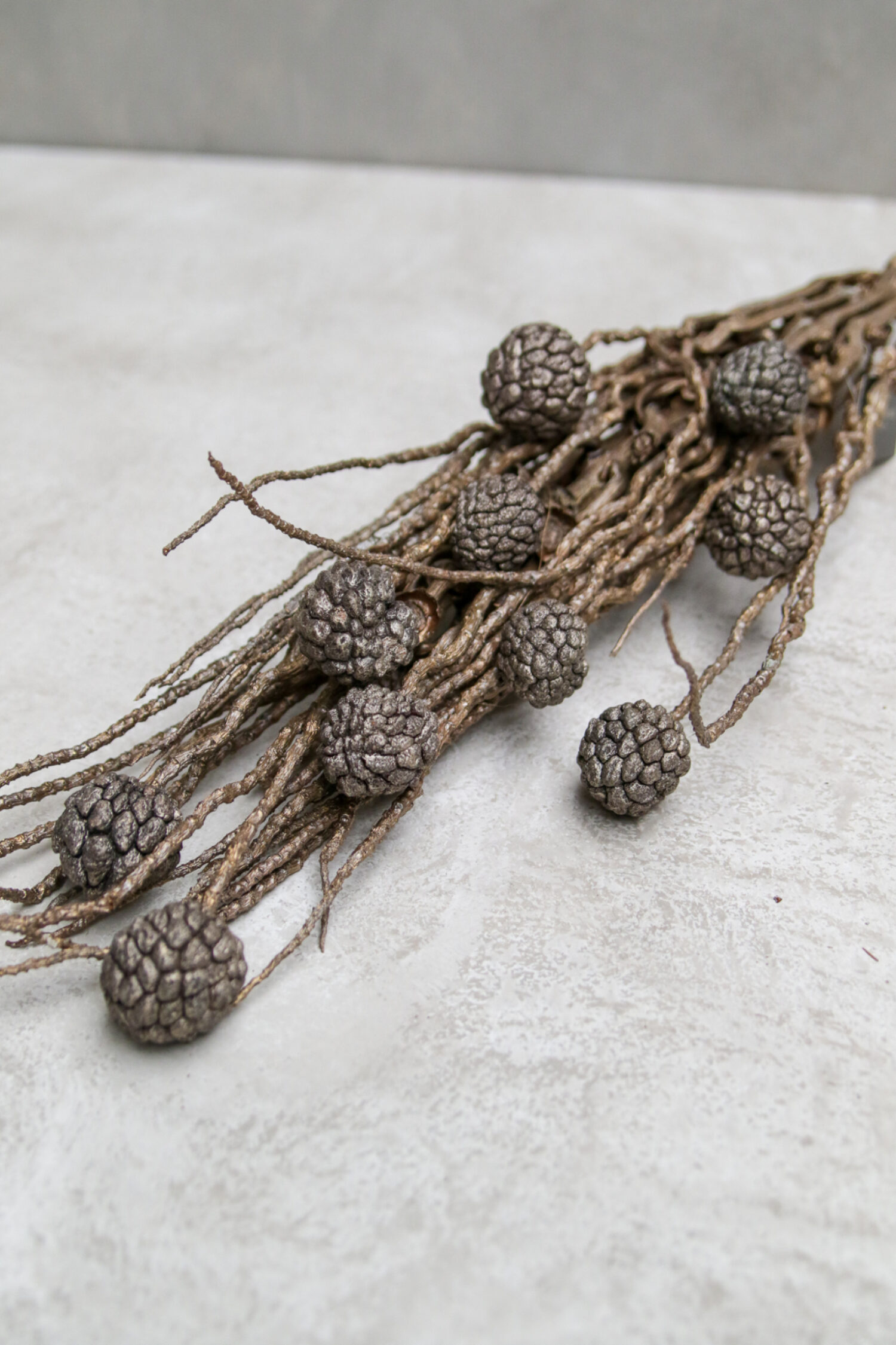 Coco finger branch with ata fruit