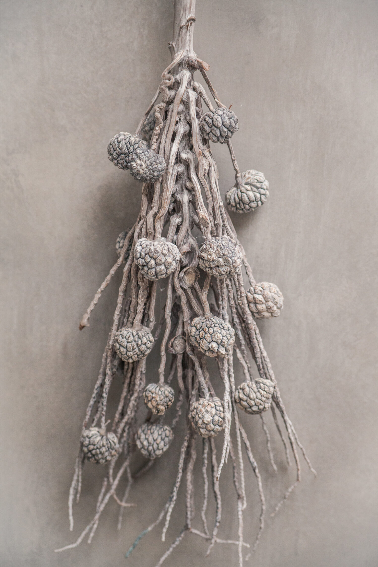 Coco finger branch with ata fruit