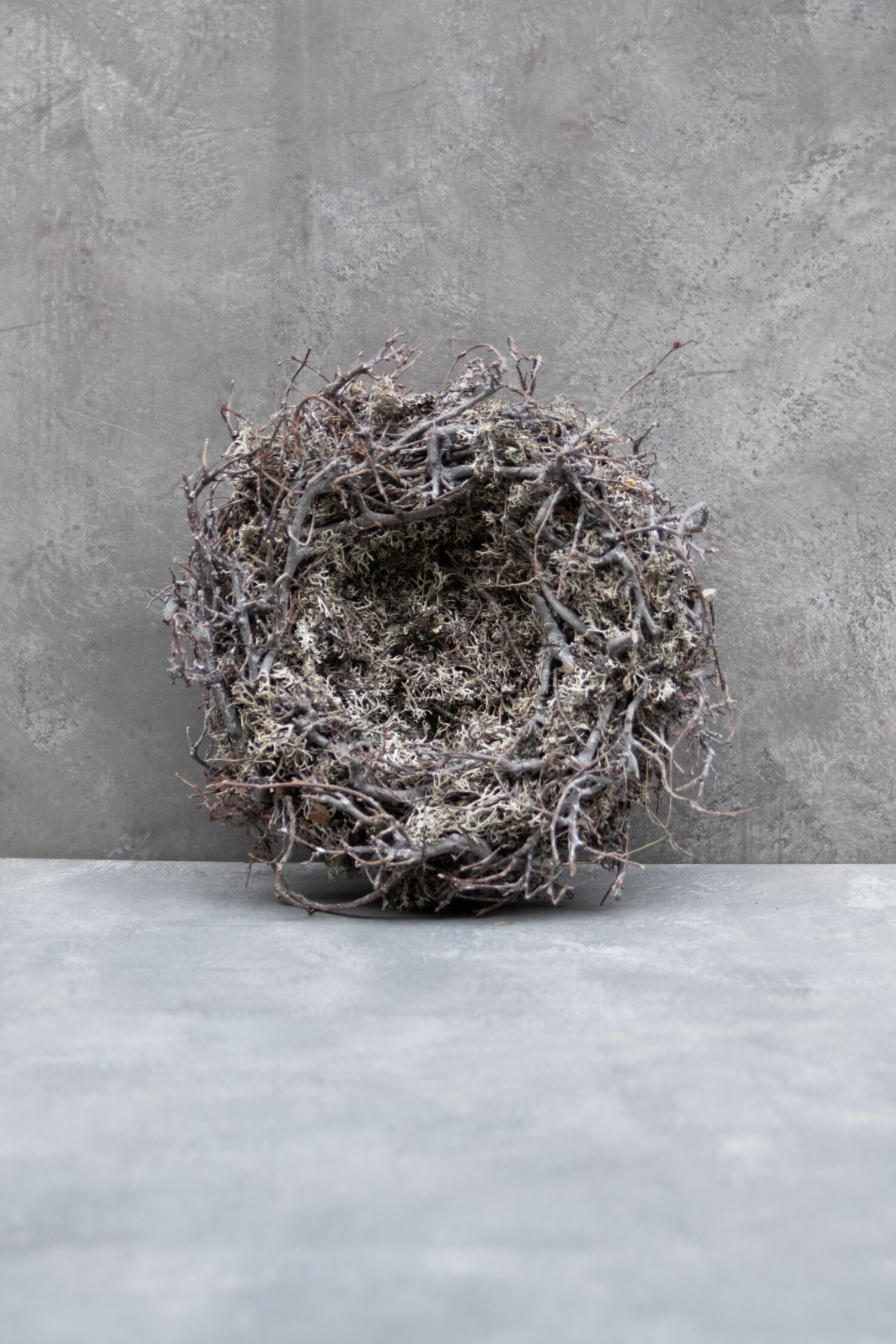 Grey moss wreath nest with bonsai
