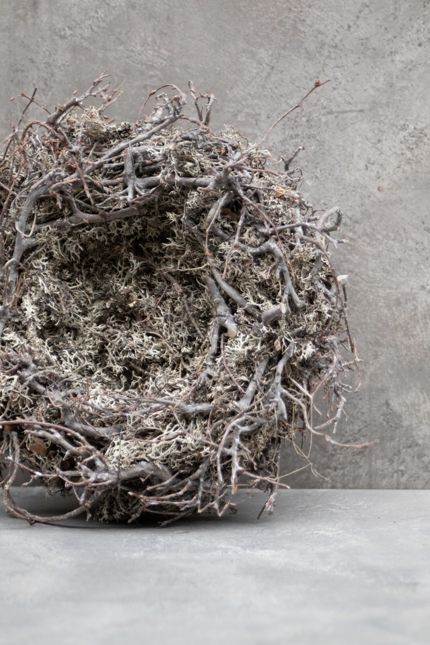 Grey moss wreath nest with bonsai