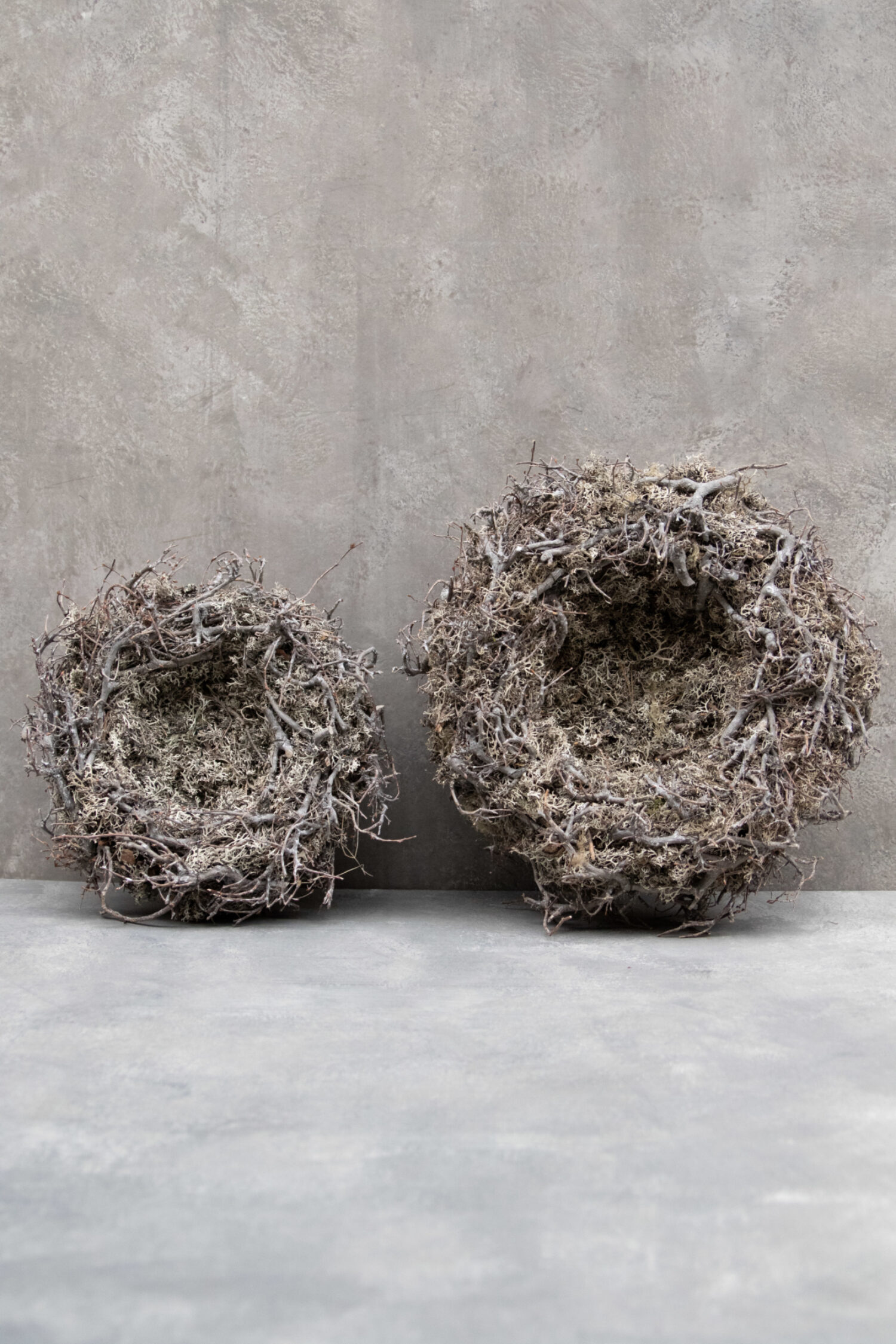 Grey moss wreath nest with bonsai