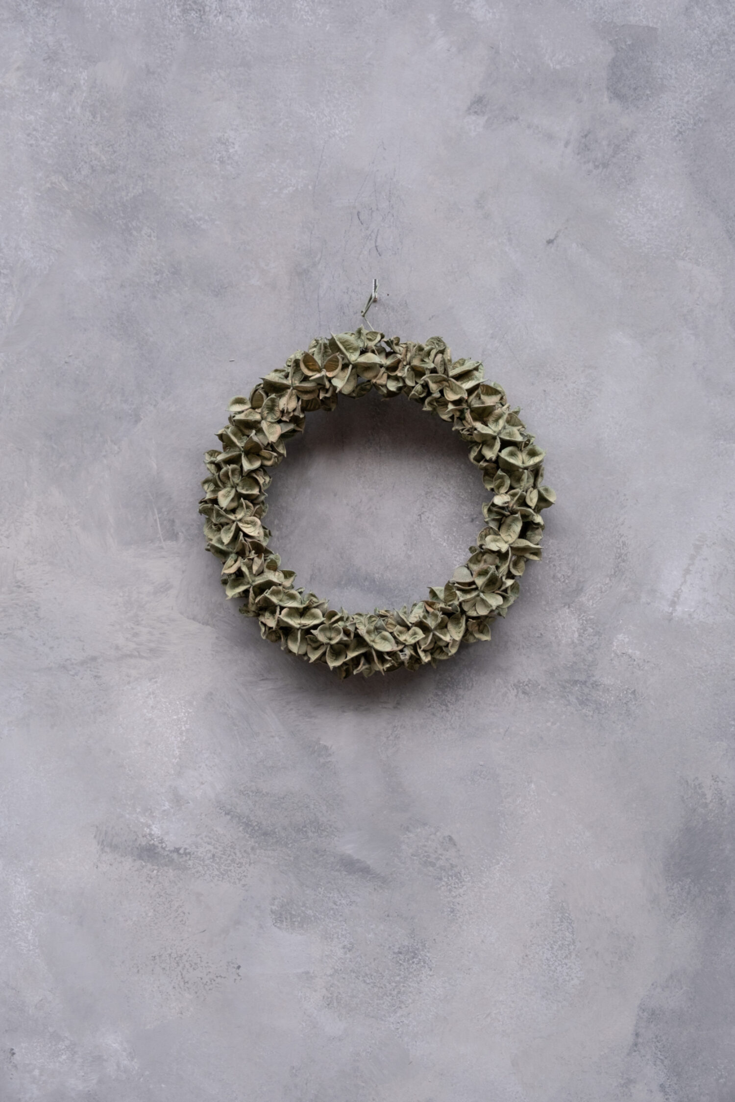 Cotton pod wreath thin