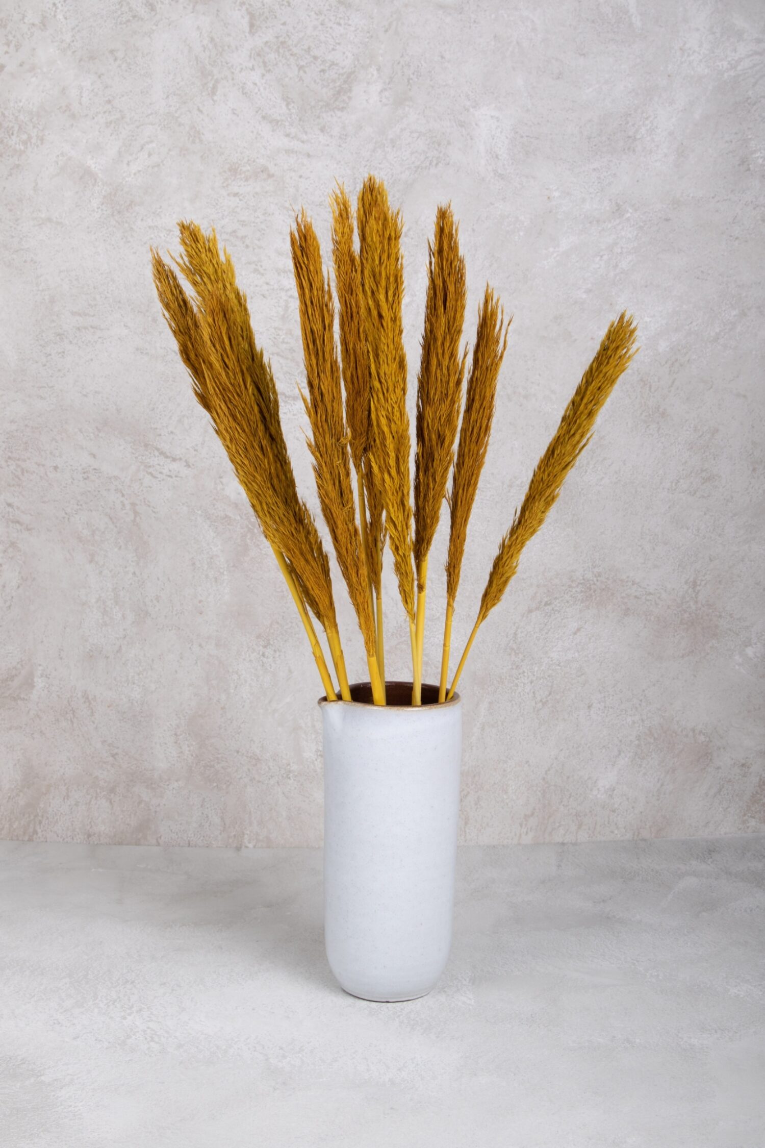 Pampas grass Nash