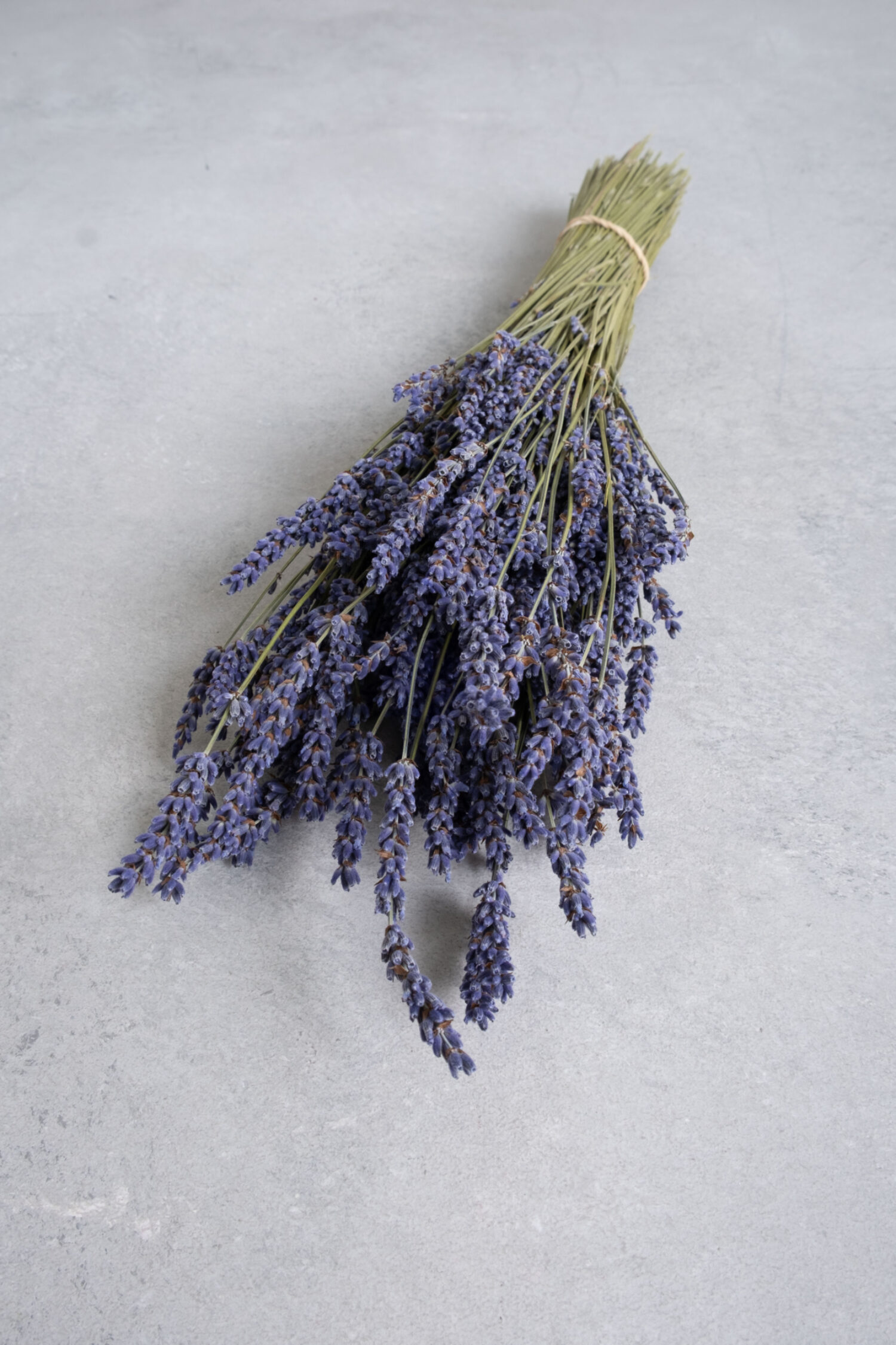 Lavender bunch natural