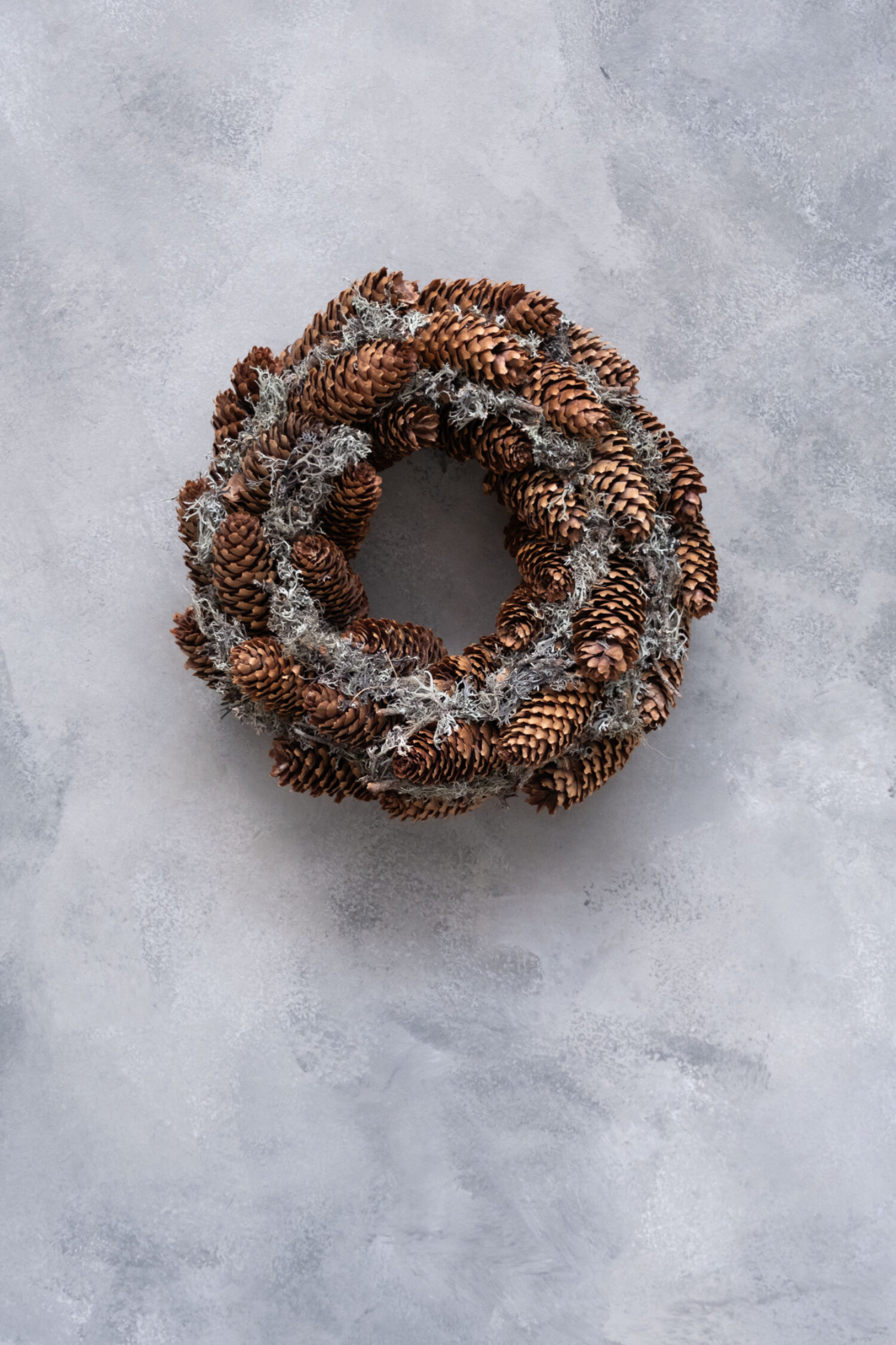 Grey moss wreath, Norway spruce