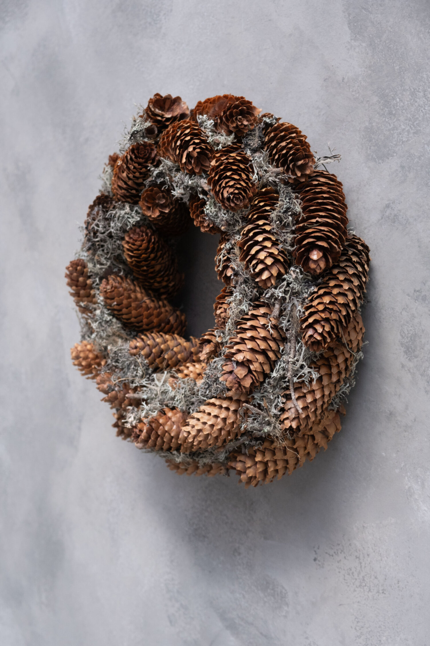 Grey moss wreath, Norway spruce