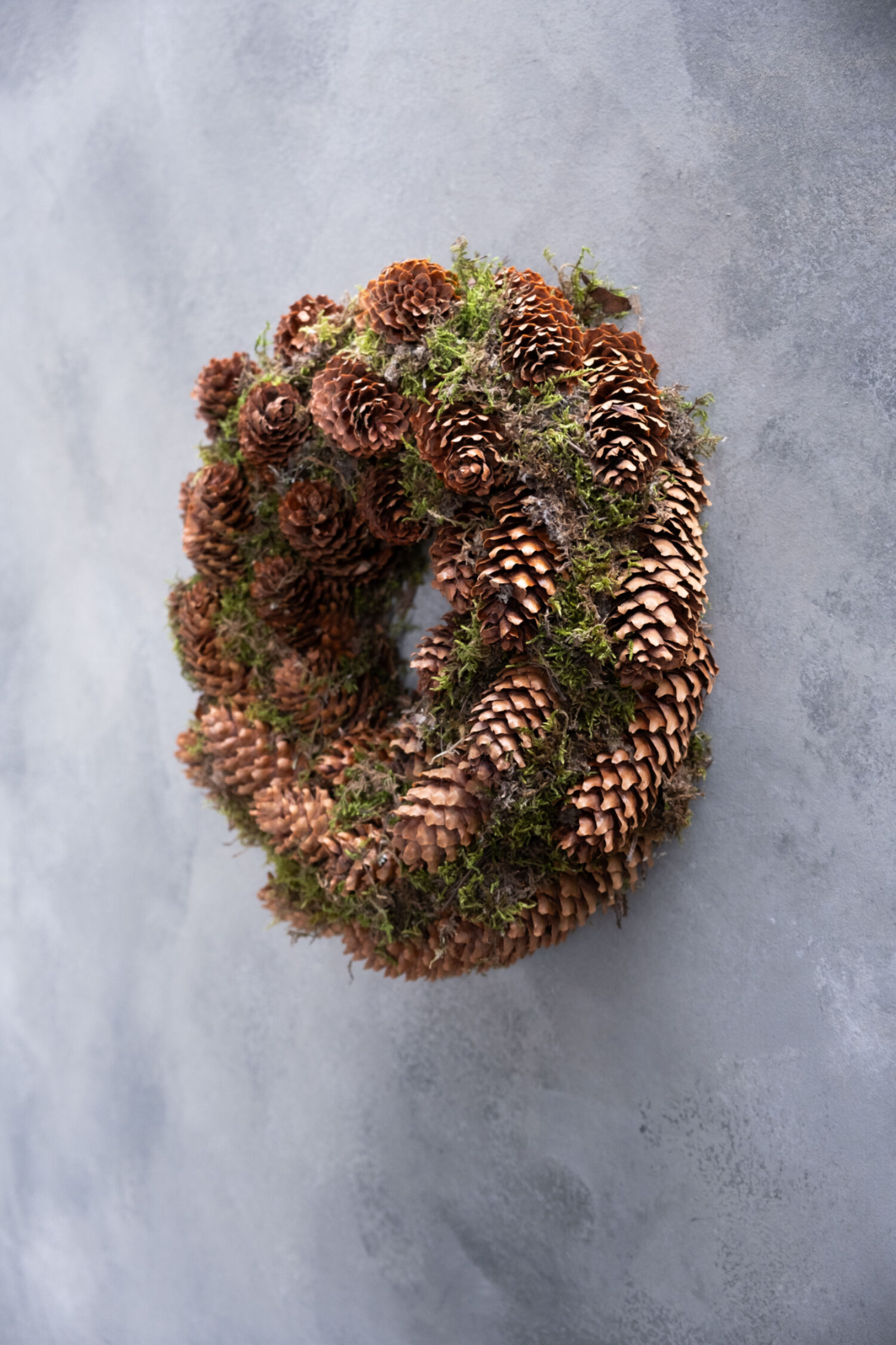 Moss wreath Norway spruce