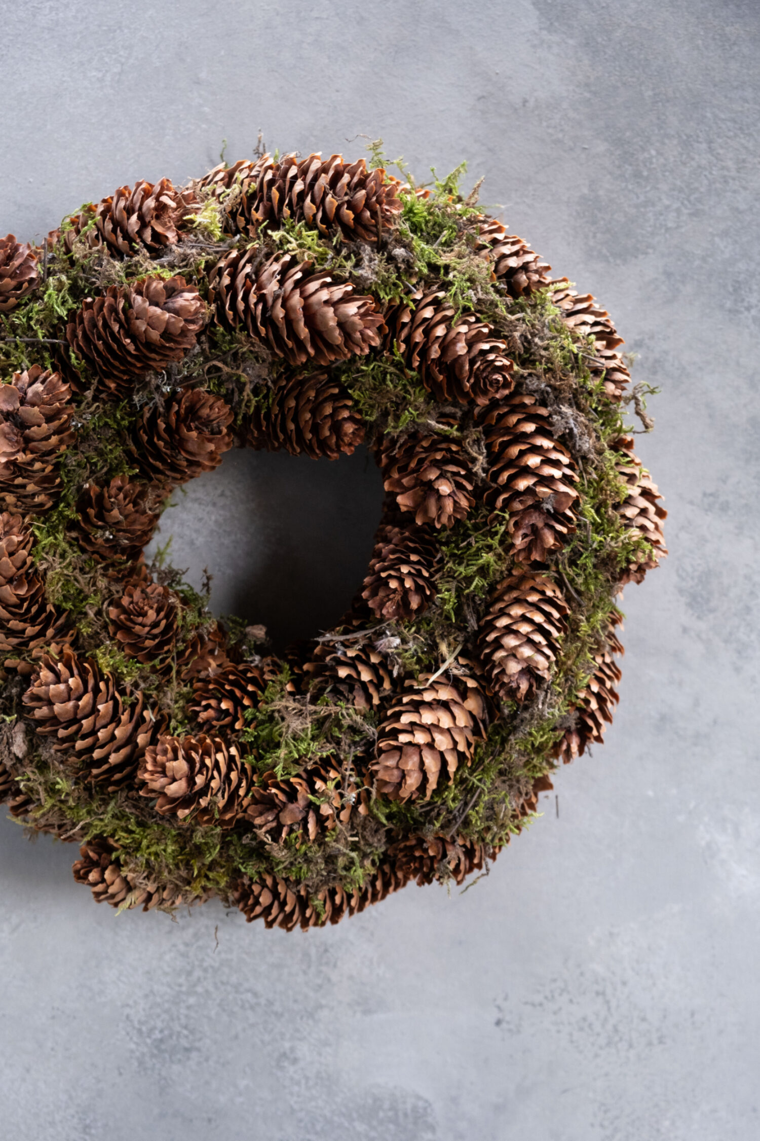 Moss wreath Norway spruce