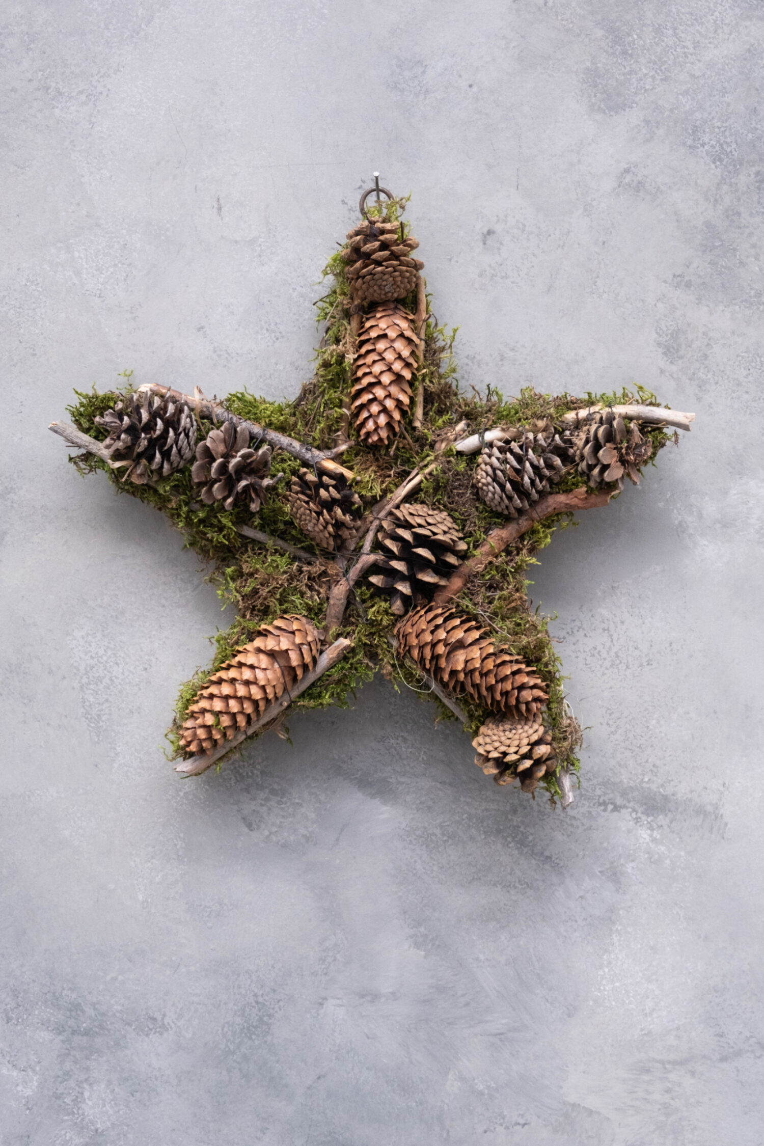 Star moss + pinecones, sticks