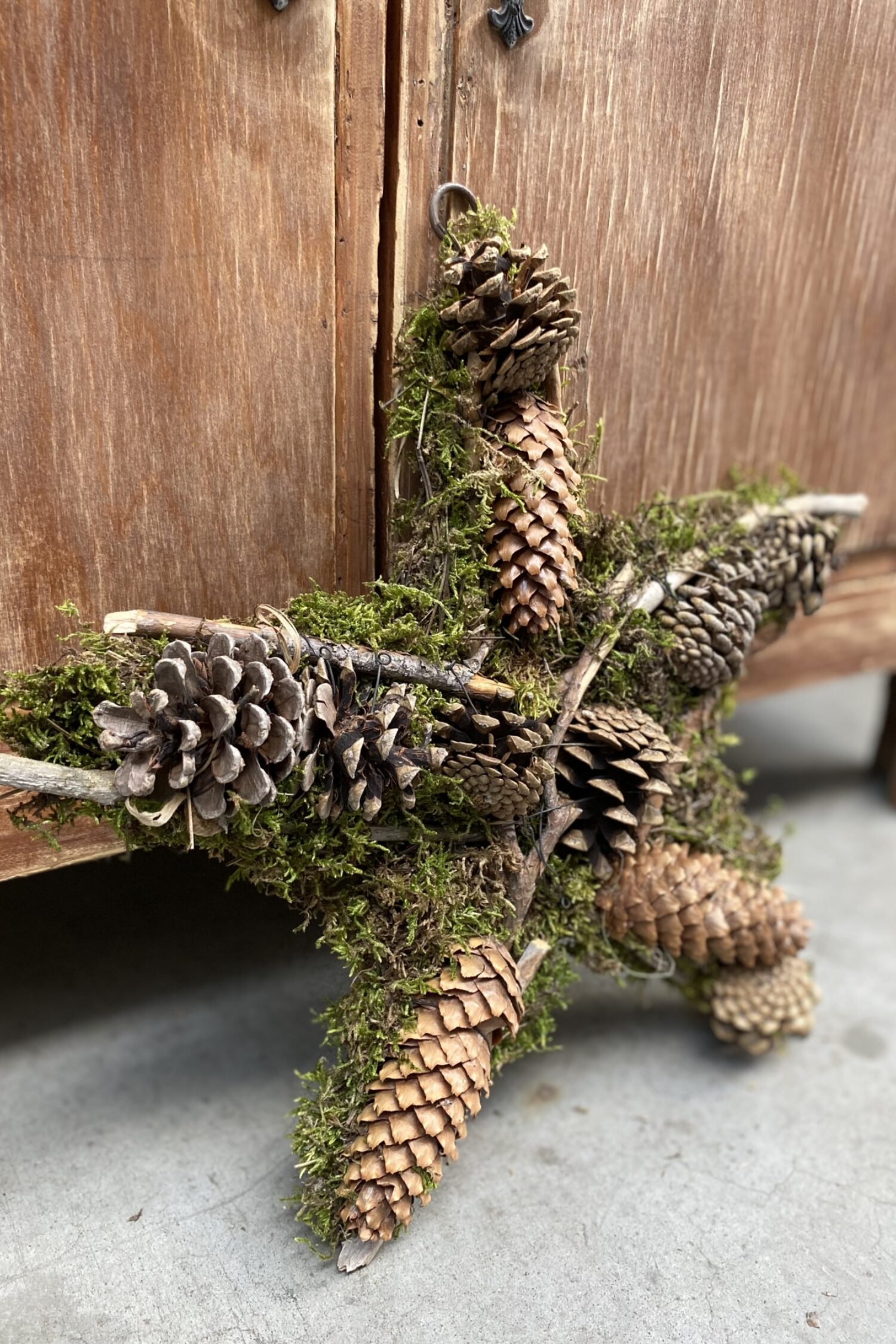 Star moss + pinecones, sticks