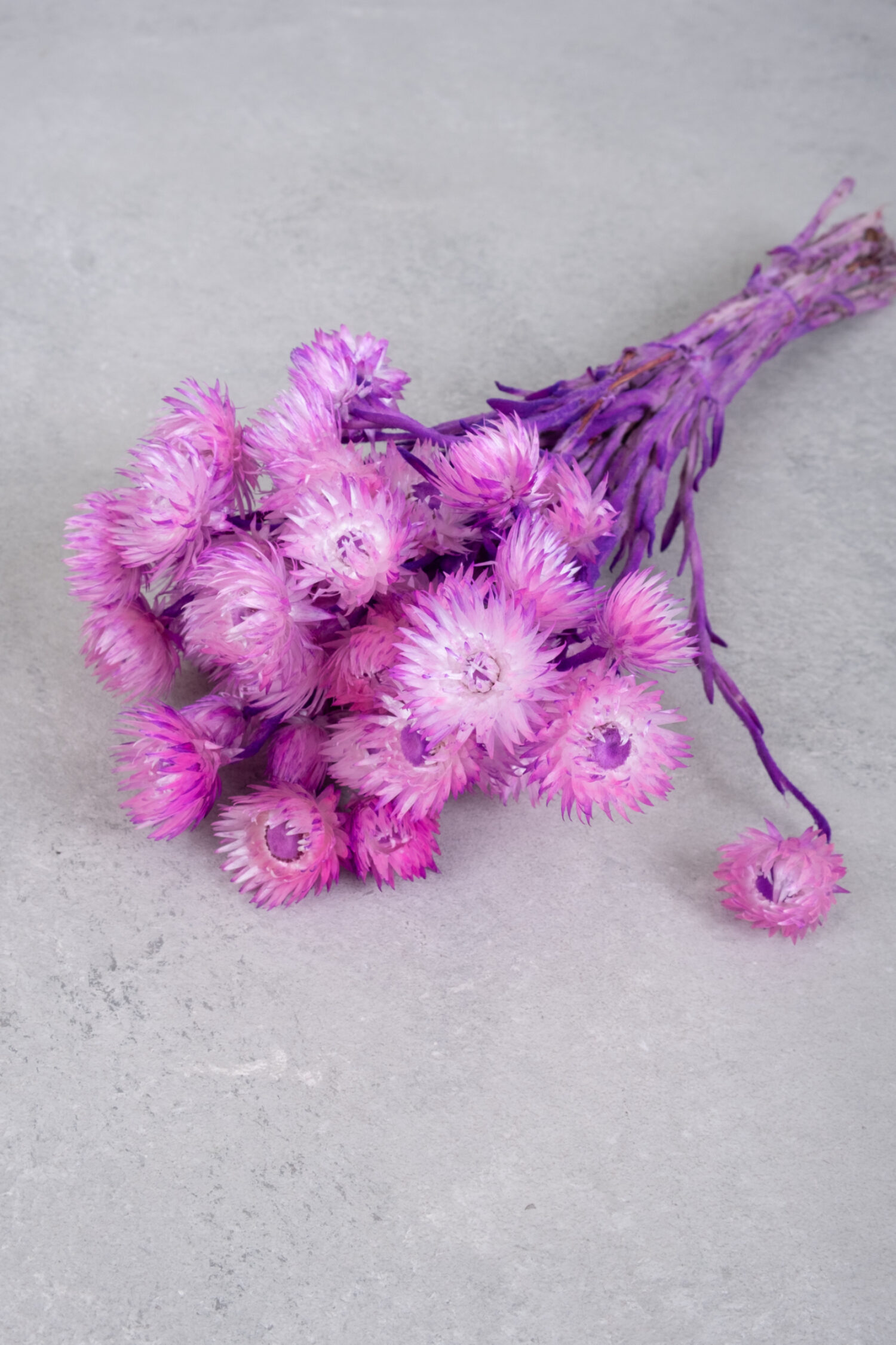 Coco fruit wreath thin