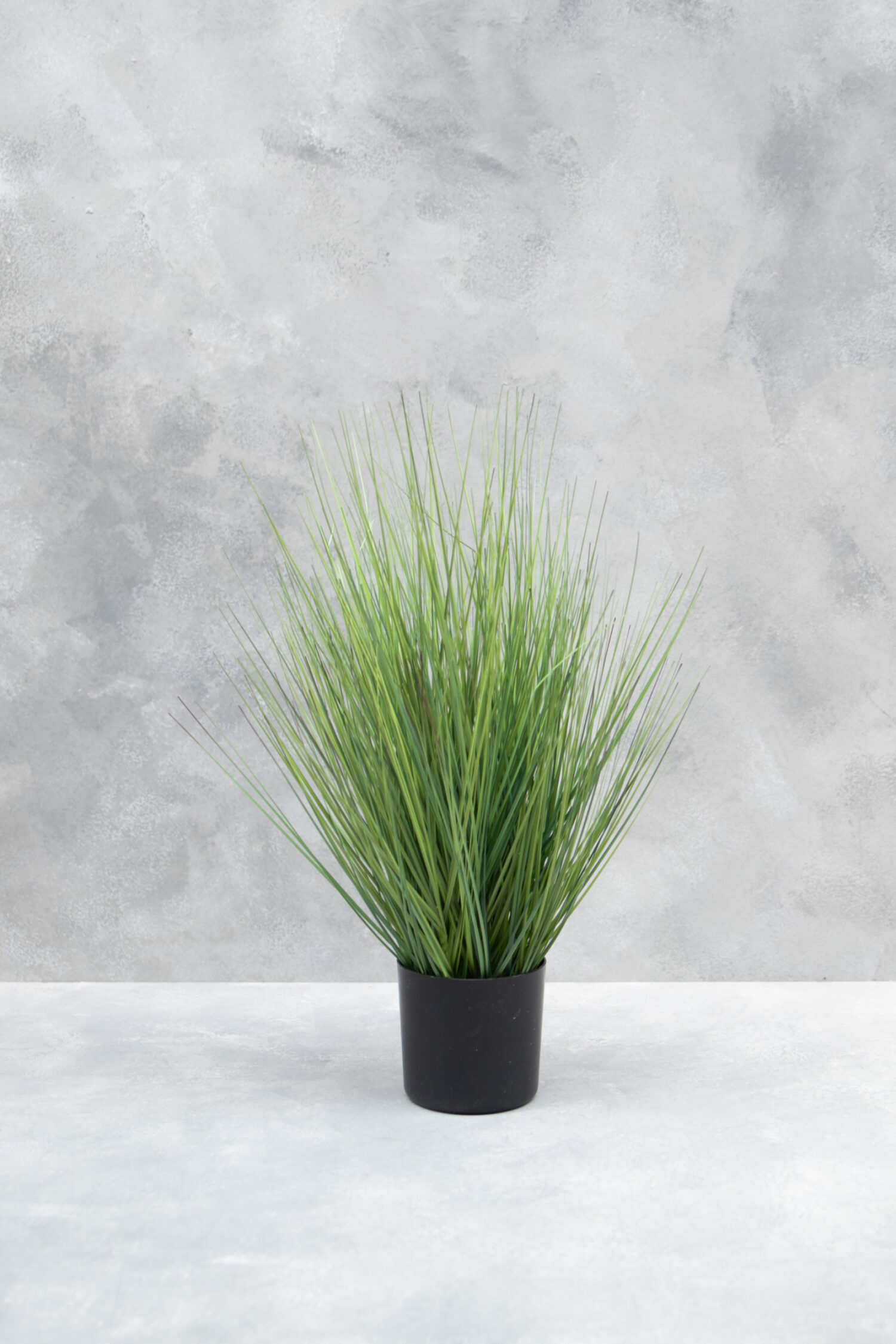 Coco fruit wreath thin