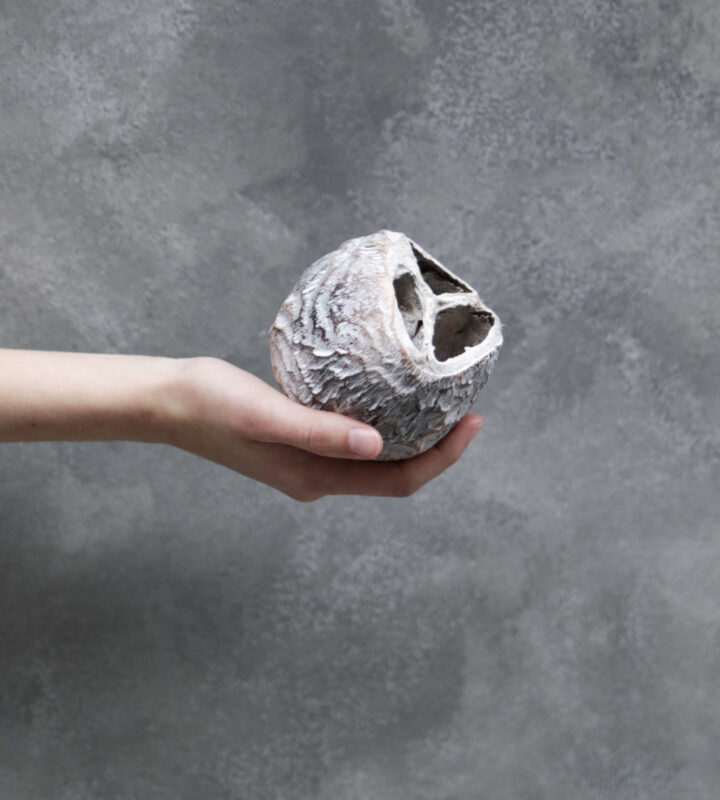 Moss wreath Norway spruce