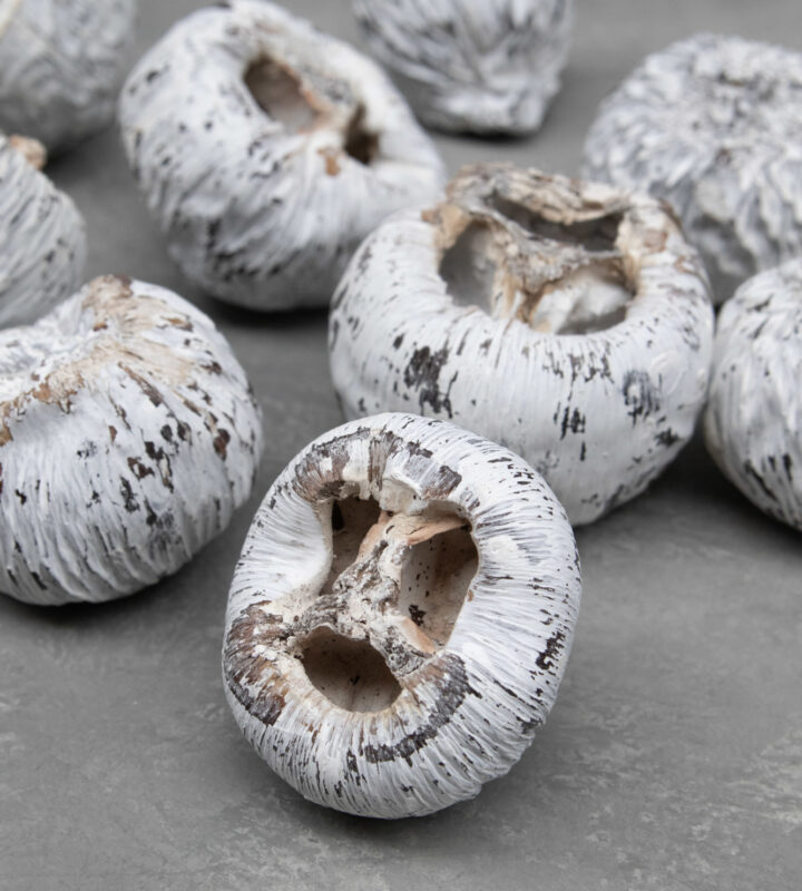 Moss wreath Norway spruce